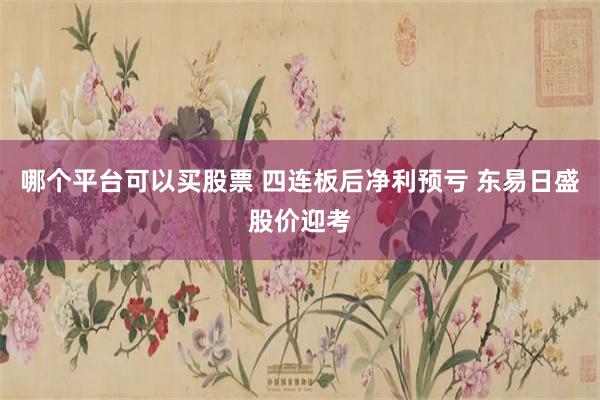 哪个平台可以买股票 四连板后净利预亏 东易日盛股价迎考