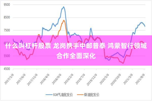 什么叫杠杆股票 龙岗携手中邮普泰 鸿蒙智行领域合作全面深化