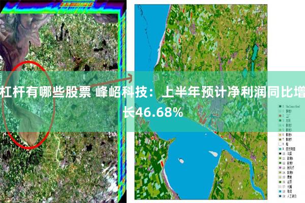 杠杆有哪些股票 峰岹科技：上半年预计净利润同比增长46.68%