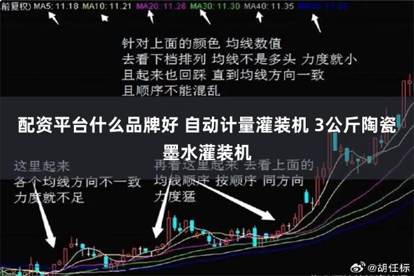 配资平台什么品牌好 自动计量灌装机 3公斤陶瓷墨水灌装机