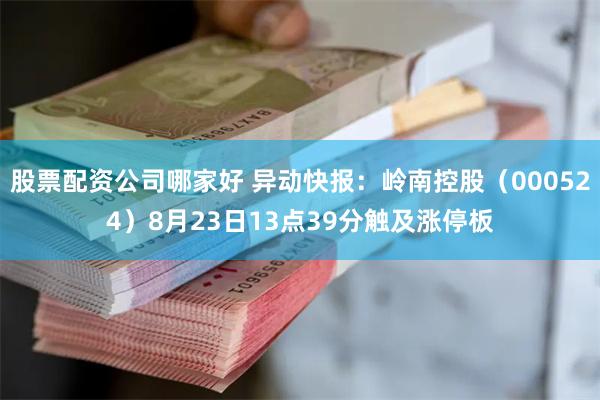 股票配资公司哪家好 异动快报：岭南控股（000524）8月23日13点39分触及涨停板