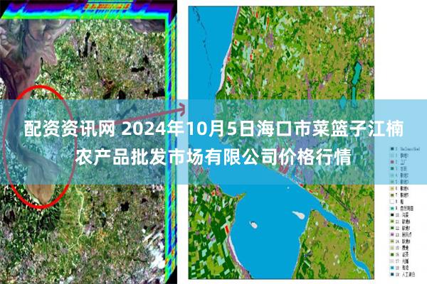 配资资讯网 2024年10月5日海口市菜篮子江楠农产品批发市场有限公司价格行情