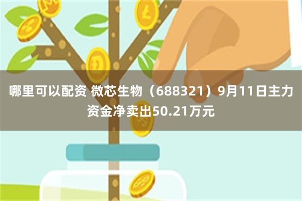 哪里可以配资 微芯生物（688321）9月11日主力资金净卖出50.21万元