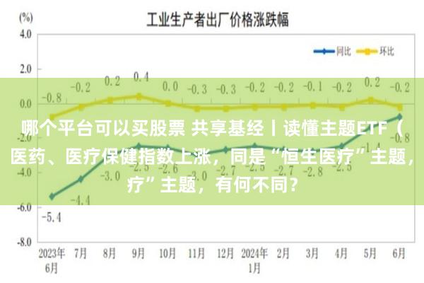 哪个平台可以买股票 共享基经丨读懂主题ETF（五十三）：医药、医疗保健指数上涨，同是“恒生医疗”主题，有何不同？