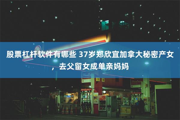 股票杠杆软件有哪些 37岁郑欣宜加拿大秘密产女，去父留女成单亲妈妈